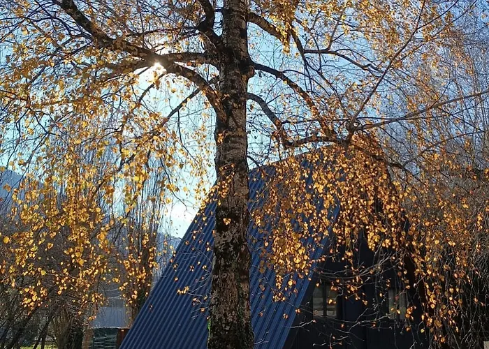 シャレー Le N5 Cierp